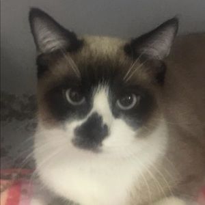 Meet your Posher, Alexandria